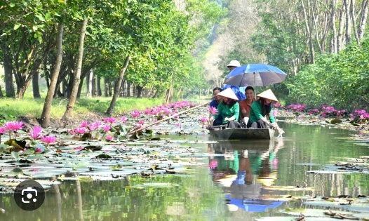 Củ ấu Vĩnh An, Vĩnh Lộc, Thanh Hoá đặc sản đầm lầy độc đáo của vùng đất kinh đô