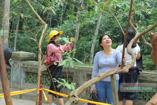 Du lịch văn hóa tâm linh Thanh Hóa bứt phá mạnh trong kỳ nghỉ lễ 30/4 – 1/5