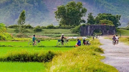 Mùa gặt về bên Di sản Thành Nhà Hồ, hương lúa chín theo gió lan nhẹ khắp không gian cổ kính ngàn năm
